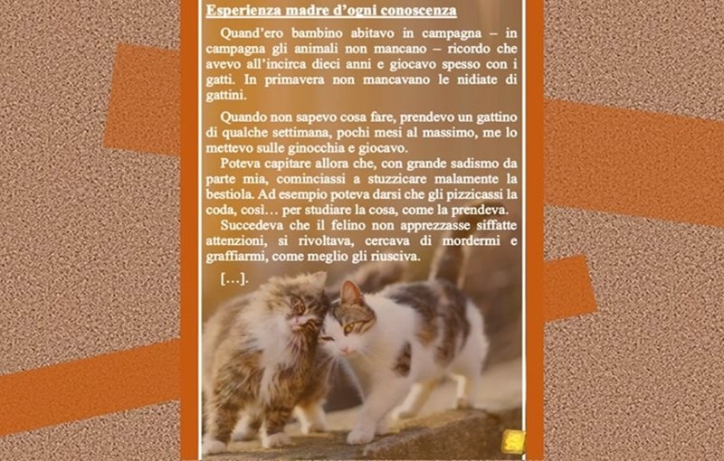 Esperienza madre d’ogni conoscenza